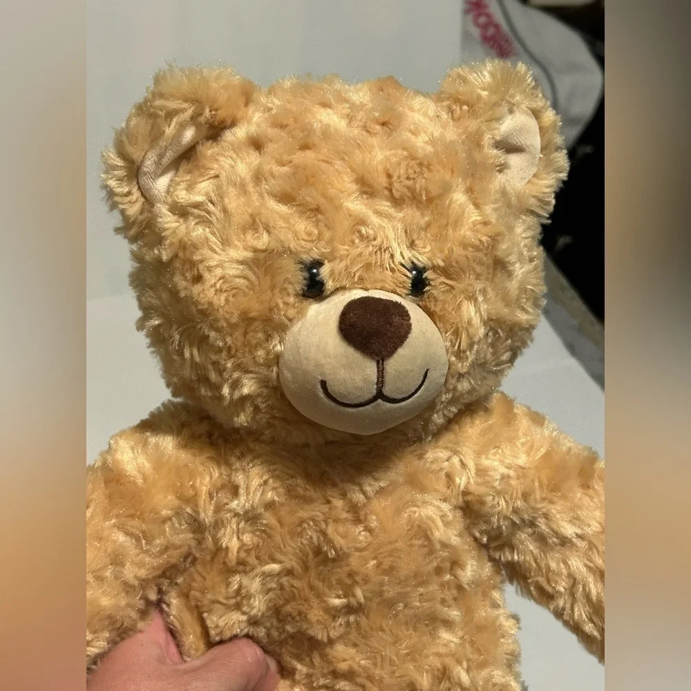 Build-A-Bear Fluffy Tan and Black Teddy